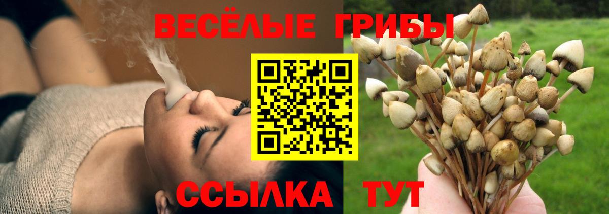 Галлюциногенные грибы прущие грибы  Вход с VPN  Ртищево 